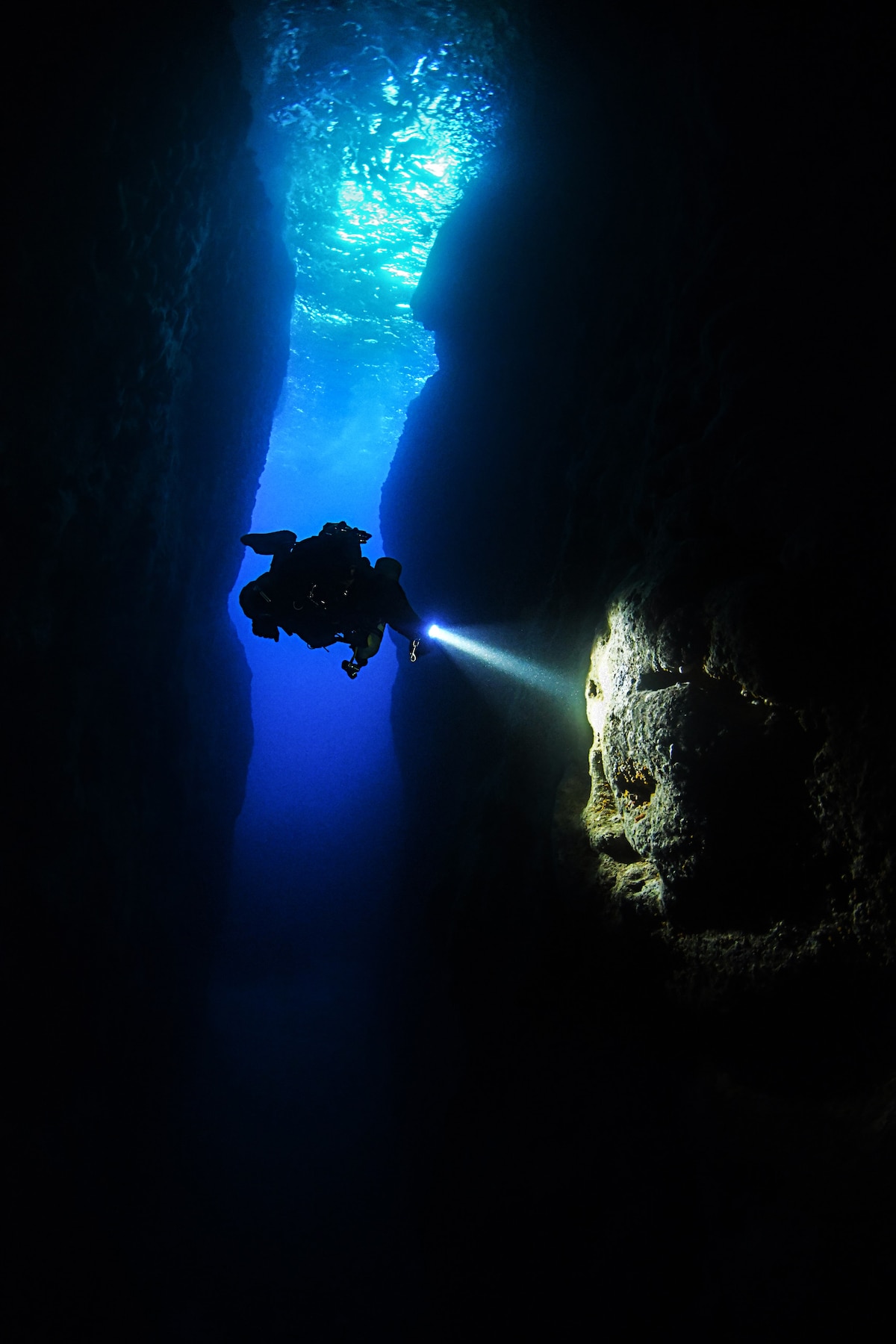 Dive in Malta's marine reserve