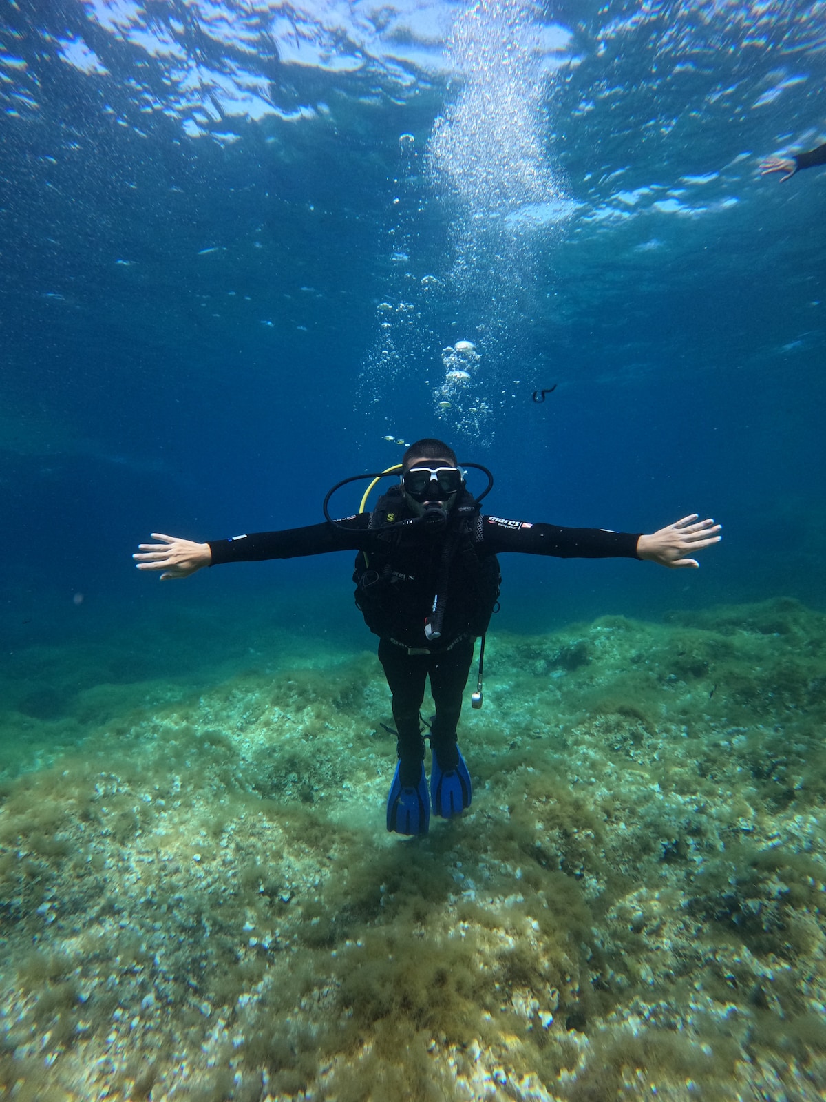 Discover diving in crystal clear waters